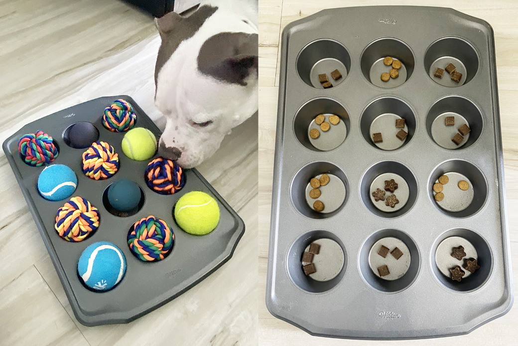 DIY Brain Games for Dogs! Homemade Food Puzzle Toys 