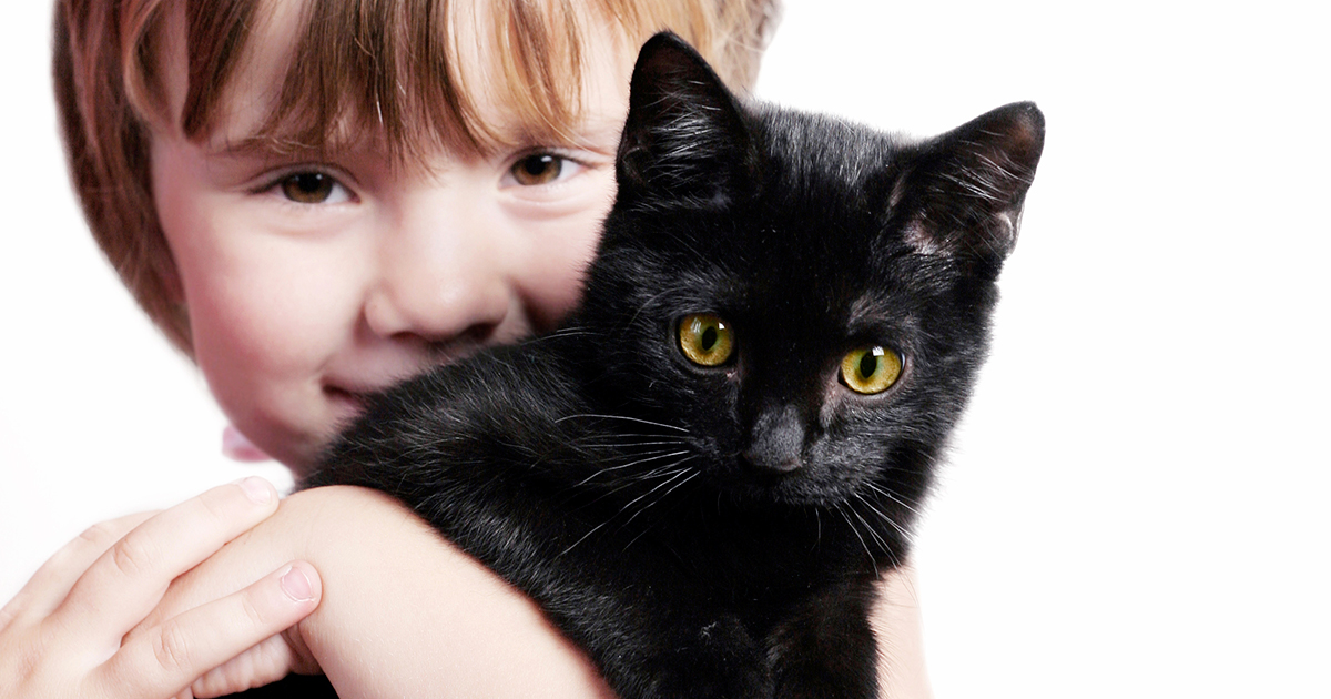 Celebrate Black Cat Appreciation Day on August 17! | ASPCA