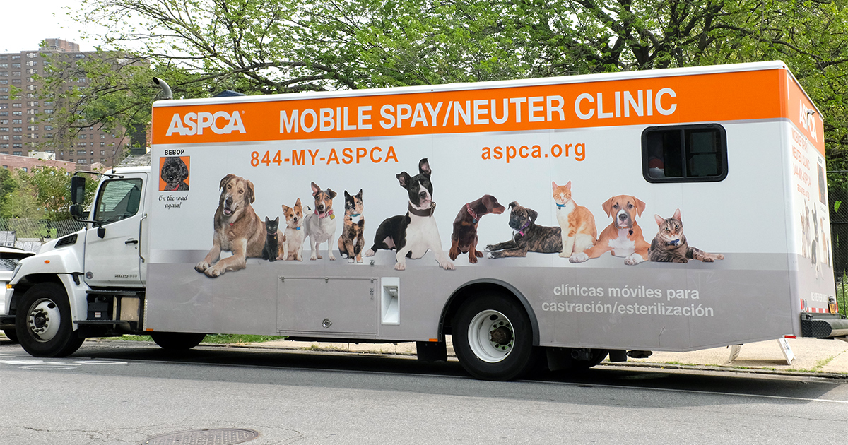 NYC Mobile Spay/Neuter Clinic Calendar Vaccine ASPCA
