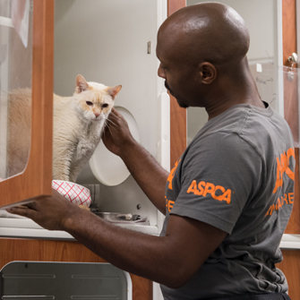 The ASPCA in Miami, Florida | ASPCA