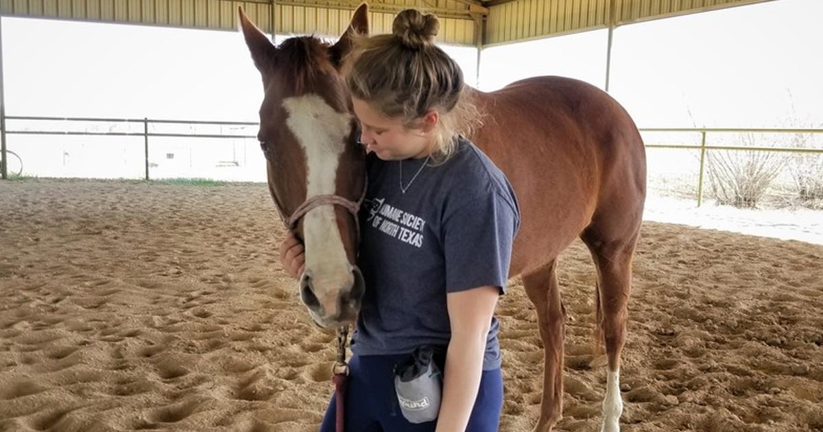 Six Reasons To Adopt A Horse | ASPCA