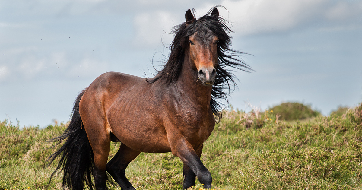 Victory: U.S. House Includes Stronger Protections for ...