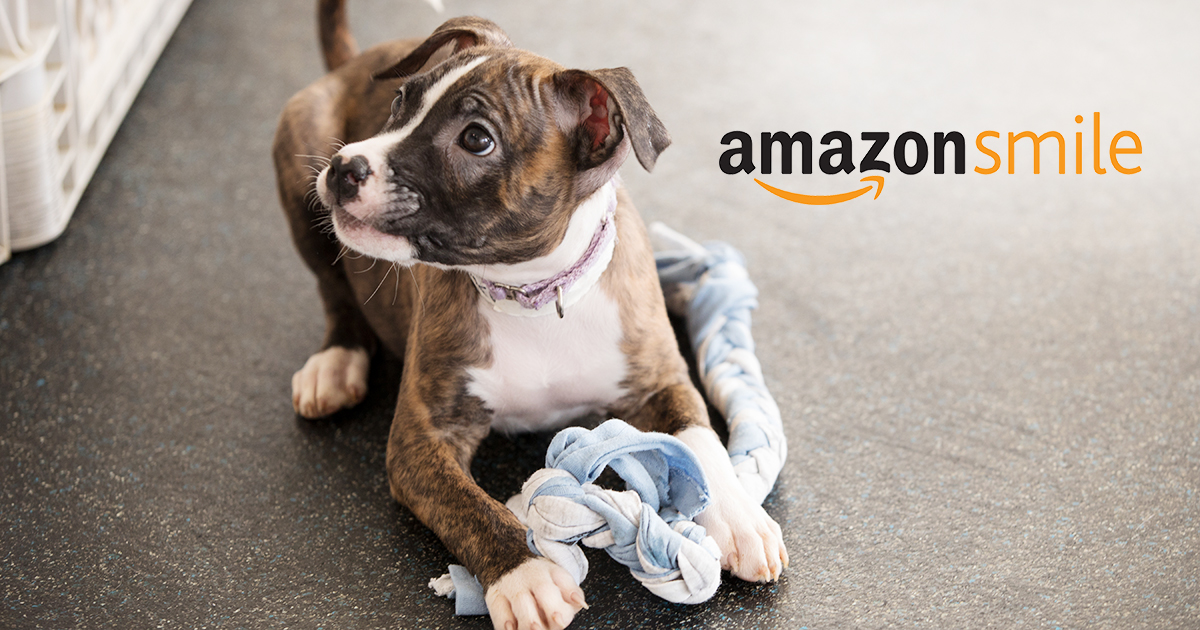 Triple Your Impact With The Help Of Amazonsmile Aspca