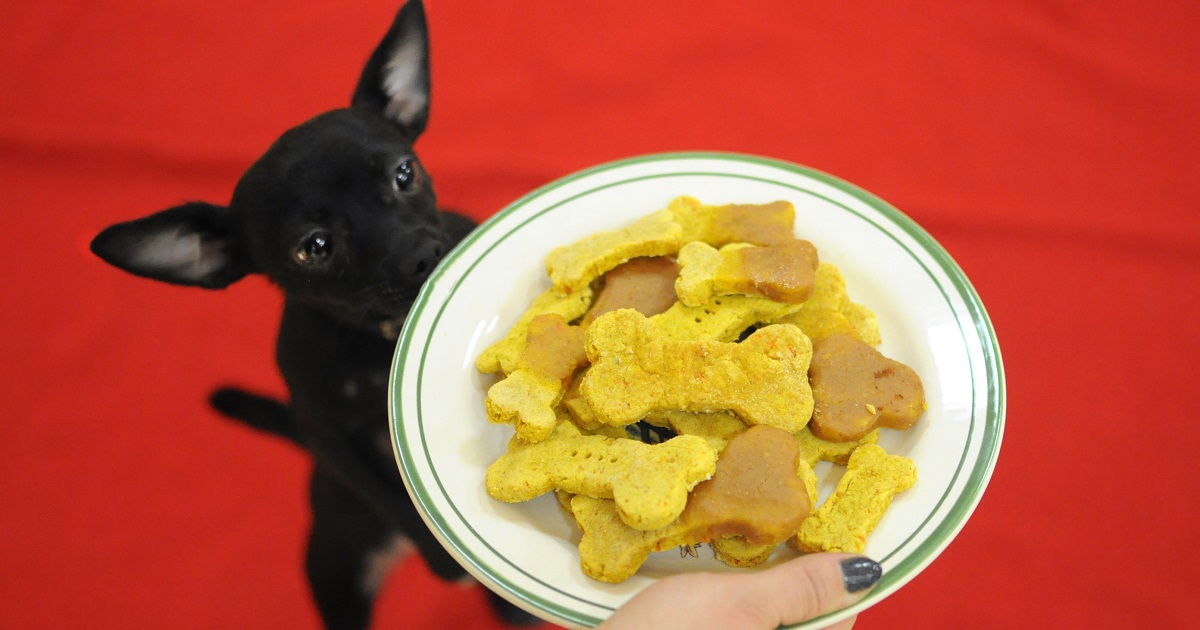 how many calories are in dog treats
