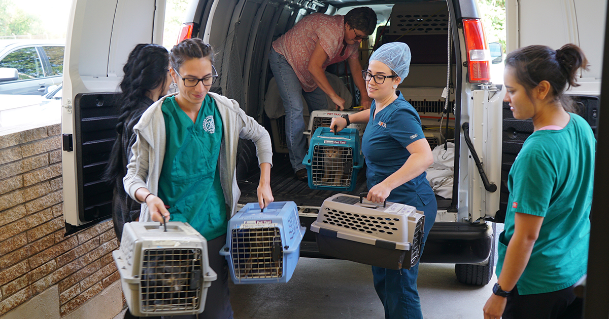 ASPCA Spay/Neuter Alliance Works With Local Partners To Curb Pet ...