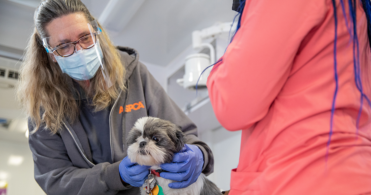 ASPCA Wellness Events Help Bronx Residents Get Care for Their Pets ASPCA