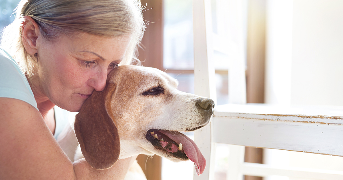 Michigan Gov. Signs Bill to Protect Pets of Domestic Violence Victims ...