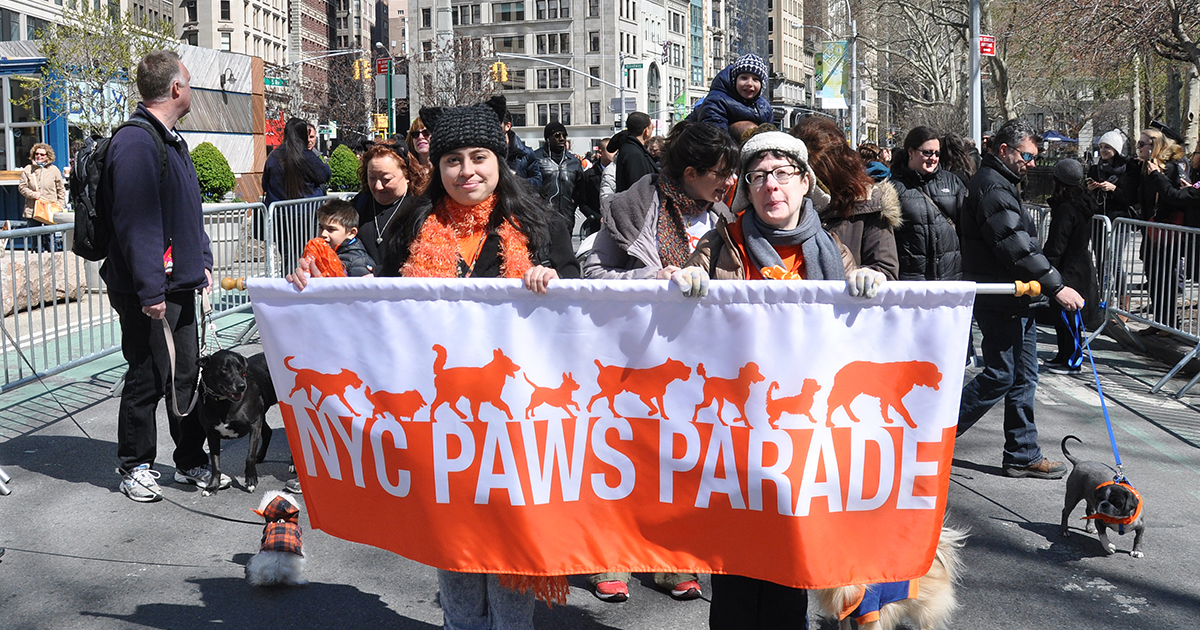 Aspca S Nyc Paws Parade And Adoptapalooza Events Result In 300 Pet Adoptions Aspca