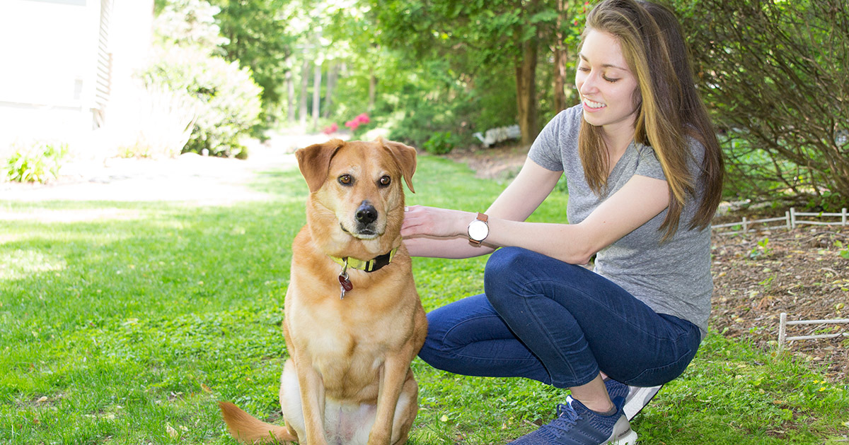 is cocoa mulch safe for dogs