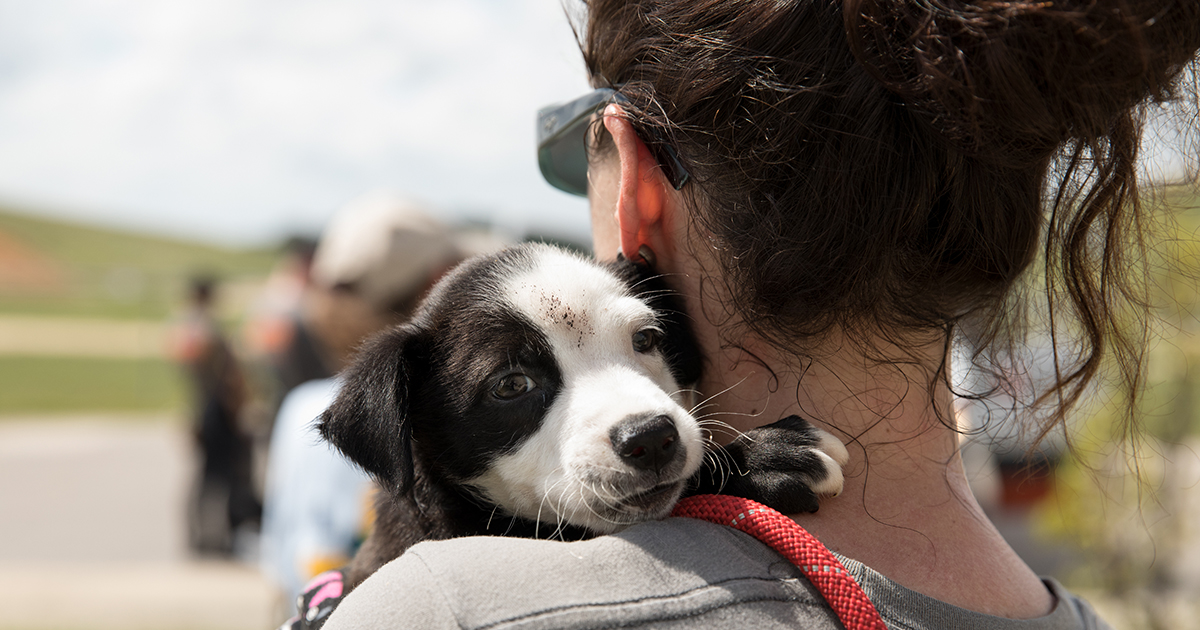 ASPCA Deploys to Assist Animals and Communities in Storm’s Path | ASPCA