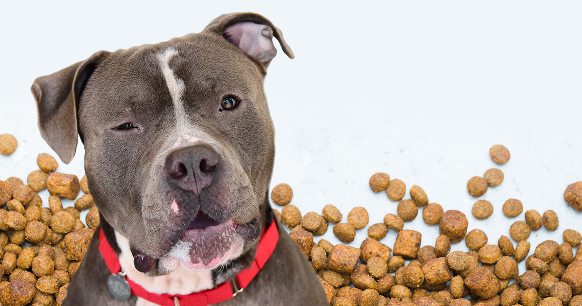 what is the best food to feed a pitbull puppy