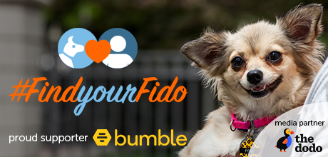 #FindYourFido