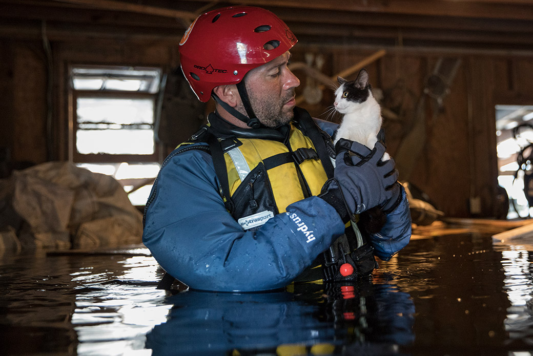 a responder rescuing a cat