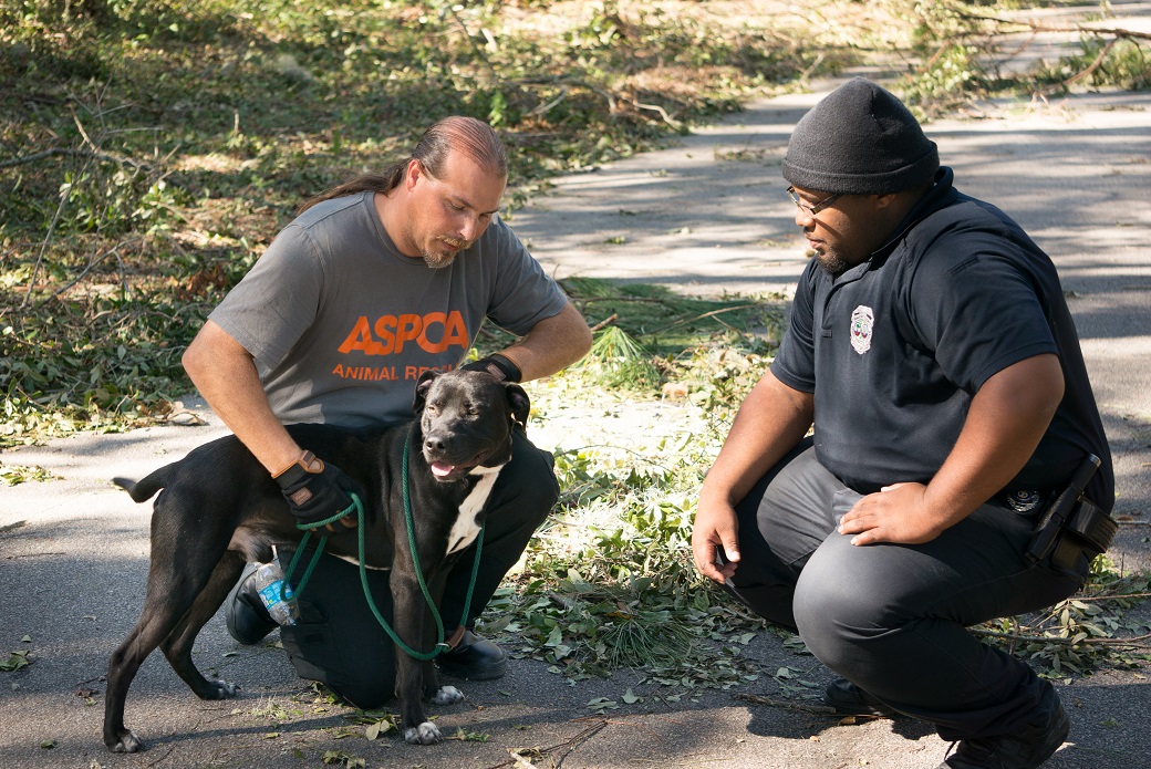 two ASPCA volunteers with a rescued dog
