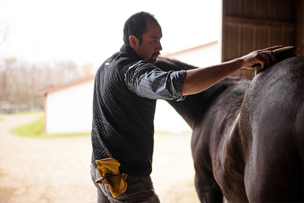 Man brushing horse