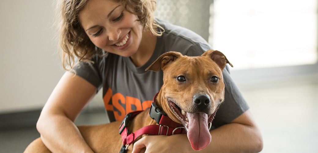 Adoption Tips L How To Adopt L Adopt A Pet L ASPCA