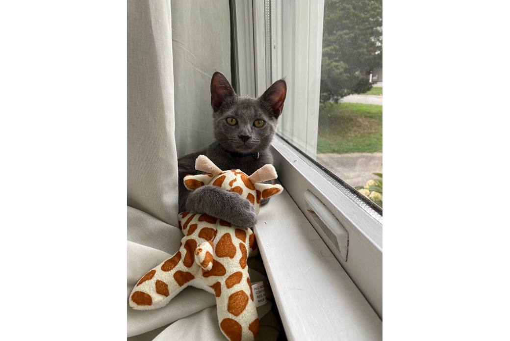 Aurora with a toy giraffe