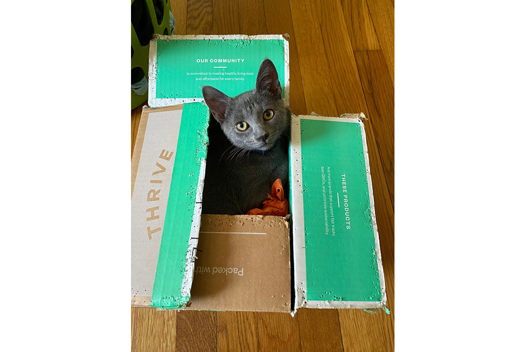 Aurora in a box