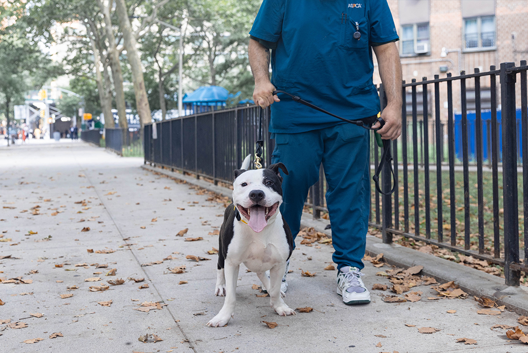 Philip on a walk