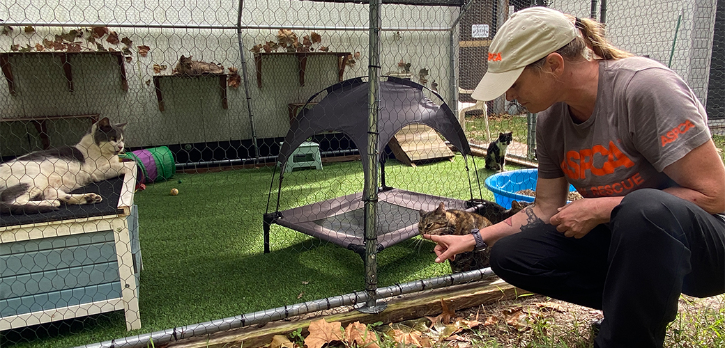 Responder with rescued cats