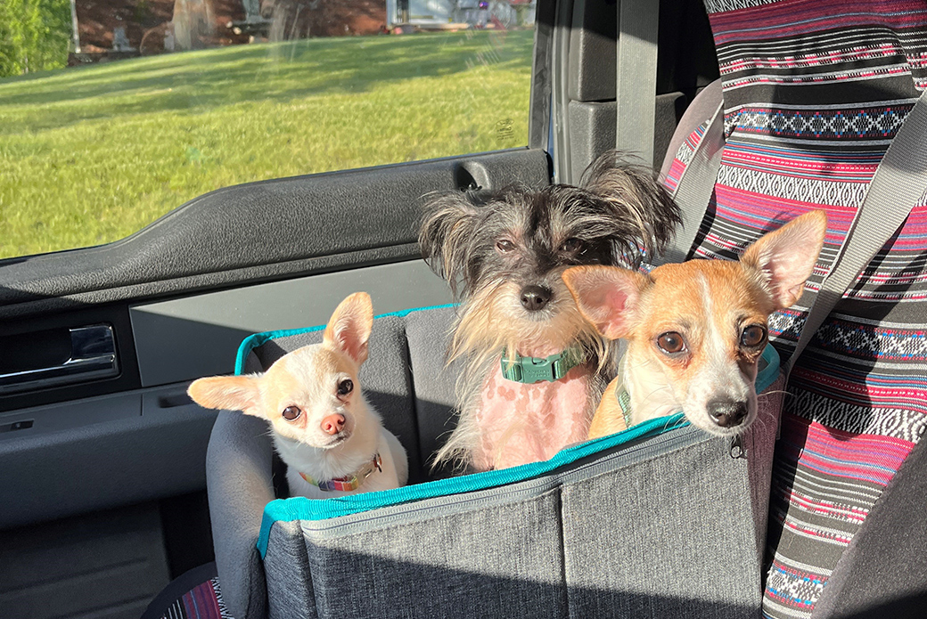 Ireland in car with foster siblings
