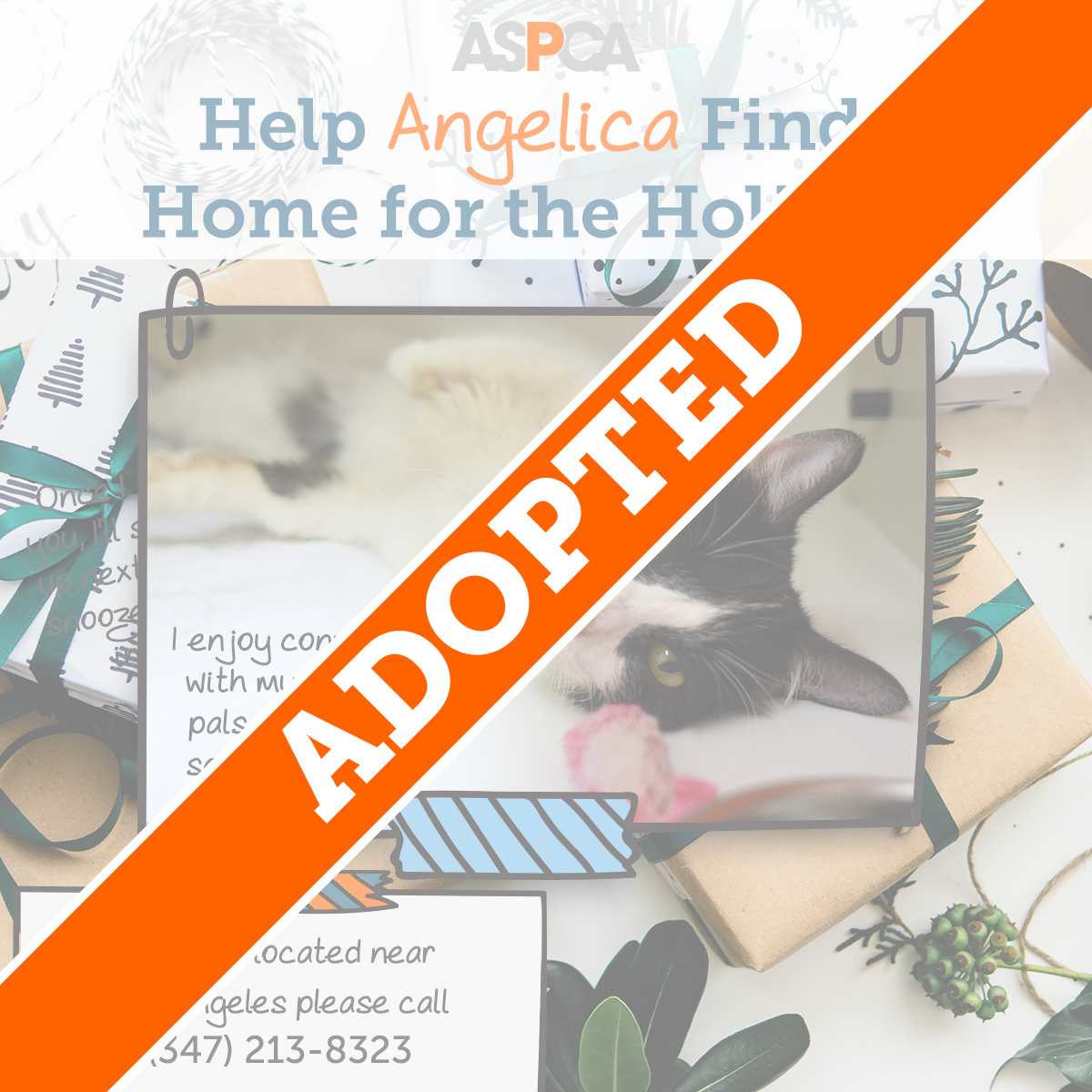 Angelica Adopted