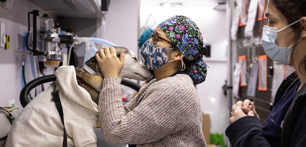 animal welfare worker with a dog in a mobile clinic
