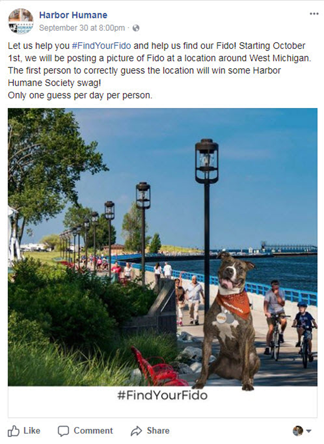 Harbor Humane #FindYourFido facebook post