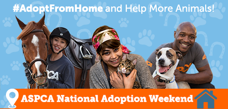 ASPCA National Adoption Weekend 