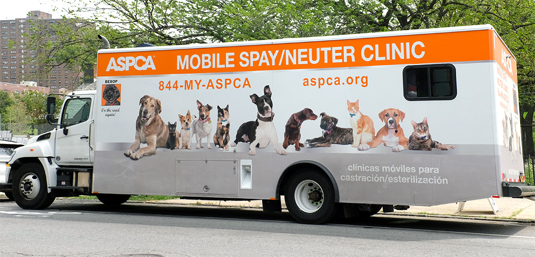 NYC Mobile Spay/Neuter Clinic 