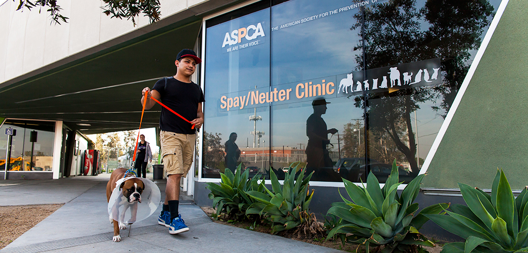 Spay Neuter Clinic In South Los Angeles Aspca