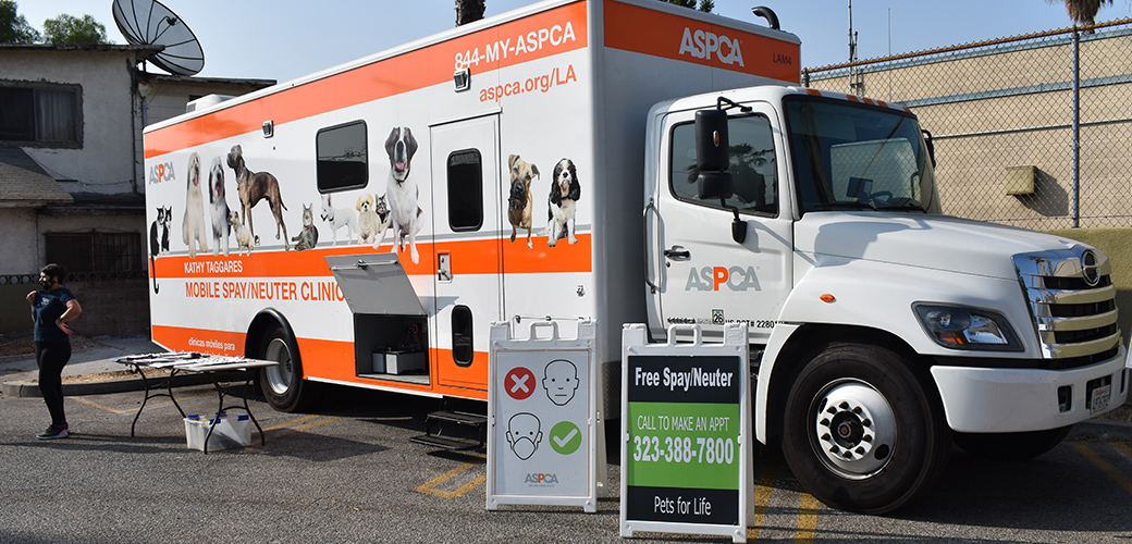 ASPCA and HSUS Collaborate to Provide Critical Services in East Los