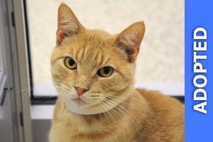 Drozdz was adopted!