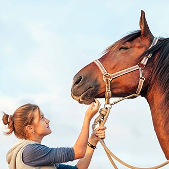 Victory Is in Sight: Federal Spending Package Will Help Protect Animals!