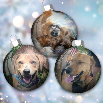 arkansas rescued dogs in christmas bulbs graphic