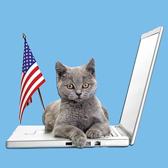 5 Easy Ways to Help Pass Laws for Animals—from Your Computer!