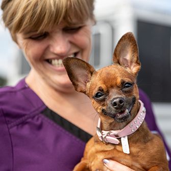 a woman with a Chihuahua