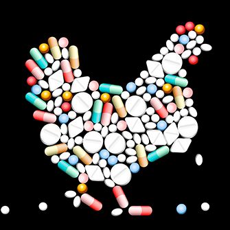 ASPCA and Center for Food Safety Urge Chicken Industry to Reduce Antibiotics Responsibly