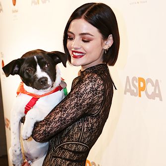 Lucy Hale and a dog