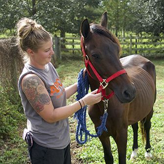 an aspca responder with a horse