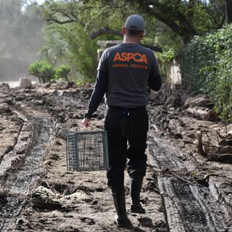 ASPCA volunteer carrying a cage