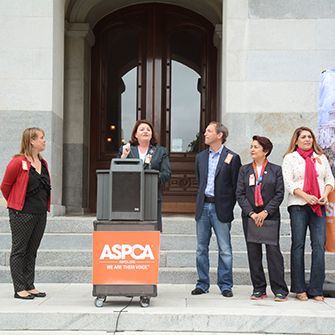 CA Voices for Animals Lobby Day