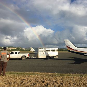 ASPCA volunteer at the airport with Cloud Nine