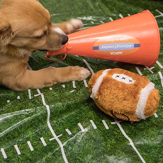 a puppy with a toy football and a megaphone