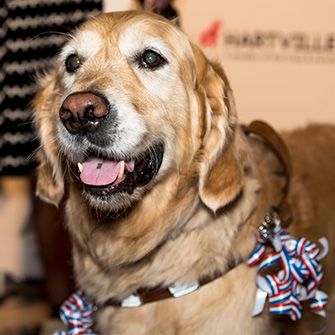 ASPCA Announces the 2015 Humane Awards Winners!