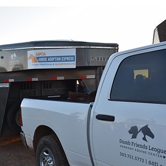 a horse transport truck