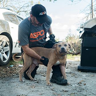 an aspca responder with a dog