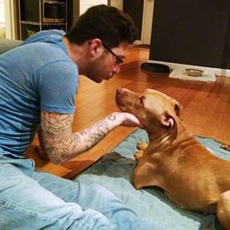 Lucy in Love: Former Fighting Dog Thriving in New Home