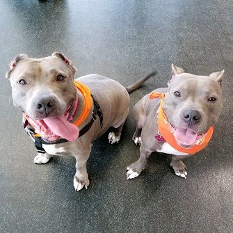 Lucinda (left) reunites with her daughter Dani (right). 