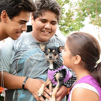 Children with a chihuahua